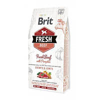 Brit Fresh Beef with Pumpkin Puppy Large Bones Joints Сухий корм для цуценят великих порід з яловичиною та