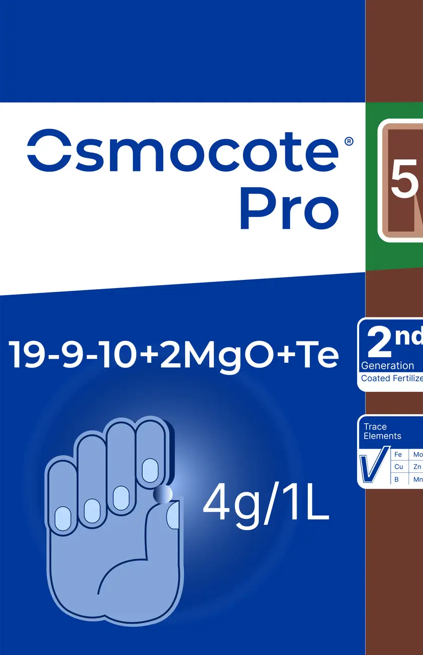 Добриво Osmocote (Осмокот) Pro 5-6 м. ,10 гр., фото 1