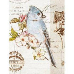 Альбом UFO 20sheet S22x32 Bird