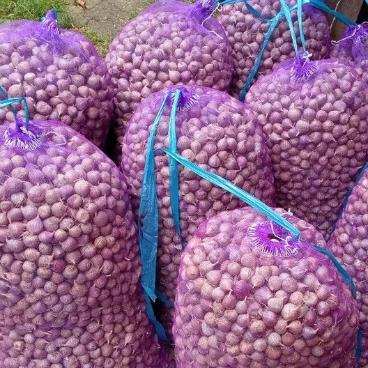 Капронова сітка овочева на 40 кг. 50х80 см. (26г) фіолетова з дрібним вічком, Євро-сітка овочева, фото 1