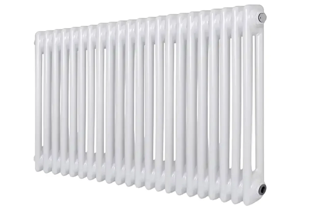Горизонтальний радіатор дизайнерський Bari III G 22/1010 Білий матовий 600*10
