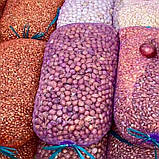 Капронова сітка овочева на 40 кг. 50х80 см. (26г) фіолетова з дрібним вічком, Євро-сітка овочева, фото 2