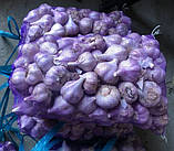 Капронова сітка овочева на 40 кг. 50х80 см. (26г) фіолетова з дрібним вічком, Євро-сітка овочева, фото 8