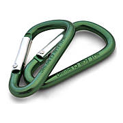 Карабін Coghlans Mini Carabiners 4 мм, Multicolor (CHL.0174)
