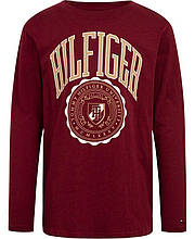 Дитячий лонгслів Tommy Hilfiger з логотипом 1159809831 (Бордовий, 2T)