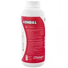 Біостимулятор + Профілактика хвороб Kendal (Кендал), 1 л, Valagro