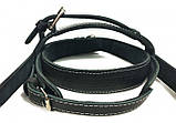 Упряж EasyFit BISON чорна (шкіра), фото 2