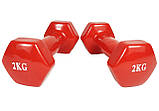 Гантель 2,0 кг EasyFit з вініловим покриттям, червона, фото 2