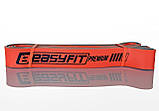 Двошарова резинка для підтягування EasyFit Premium 25-45 кг, фото 2