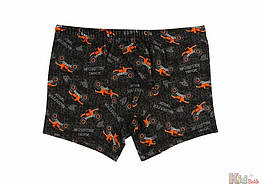 ОПТОМ Труси боксери "Track" для хлопчика 4-5 років (4-5 років) Donella 8697840717339