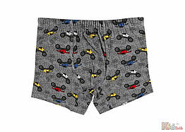 ОПТОМ Труси боксери "Track" для хлопчика 8-9 років (8-9 років) Donella 8697840717353