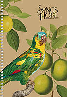 Блокнот А5 96 арк спіраль клітинка крафт обкл крем блок STUDENT 6123 Асорті, фото 3