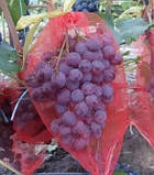 Овочева сітка капронова на 5кг. 28х40см. 100шт. червона, Євросітка для овочів з дрібним осередком, фото 9