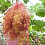 Овочева сітка капронова на 5кг. 28х40см. 100шт. червона, Євросітка для овочів з дрібним осередком, фото 10