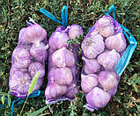 Сітка мішечок для захисту винограду від ос 22х33 см. на 2кг. 50 шт. зелена Євро сітка мішок для овочів., фото 10