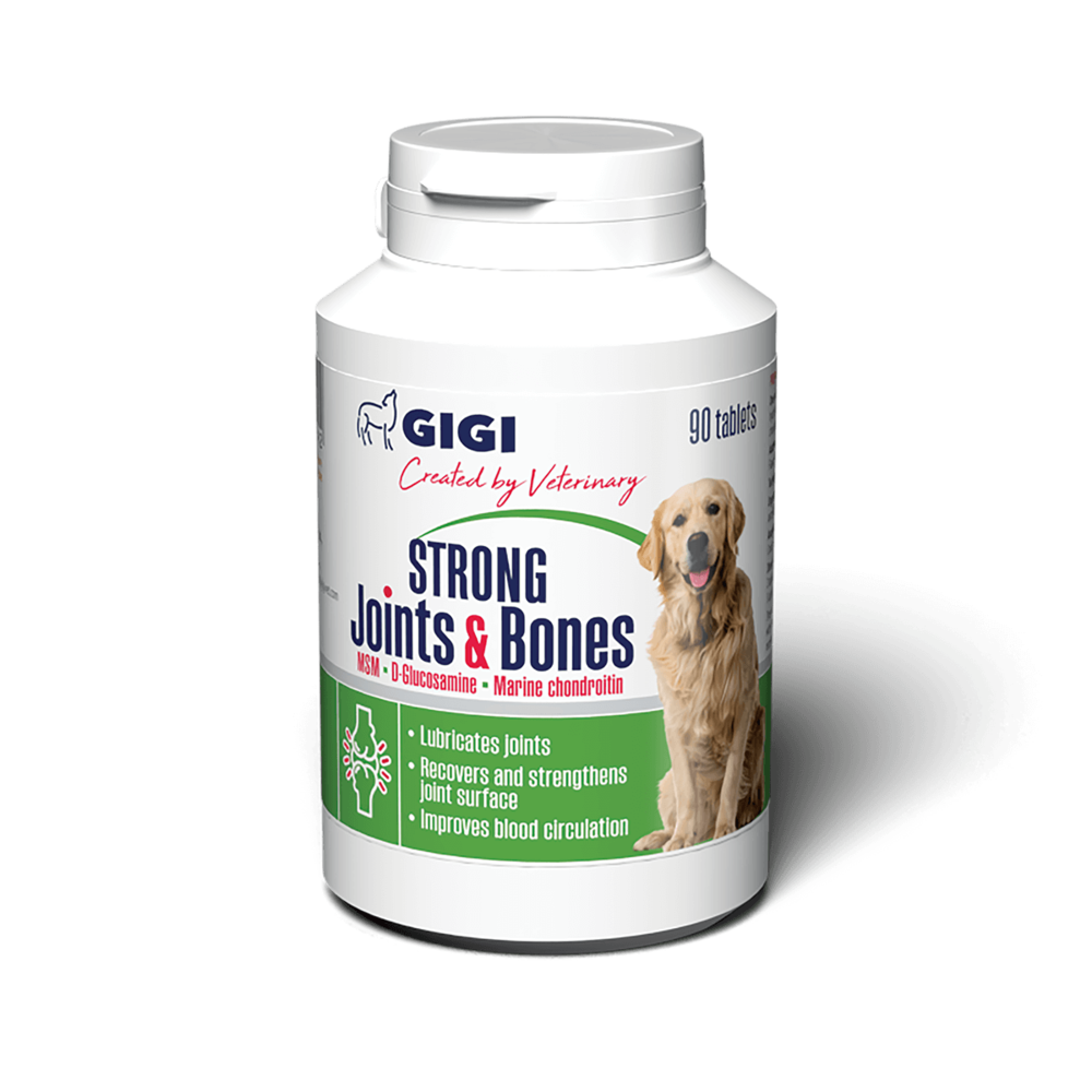 АктіВет Strong Joints & Bones GIGI 1табл/10кг хондропротектор протизапальний для собак, 90 табл.