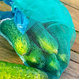 Сітка мішечок для захисту винограду від 22х33 см. на 2кг. 100 шт. зелена Євро сітка мішок для овочів, фото 4