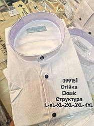 Сорочка з коротким рукавом Palmen classic, структура стійка