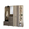 Передпокій Еверест Бриз-4 з шафою ШП-2 (4 елементи) сонома + трюфель (DTM-2659), фото 2