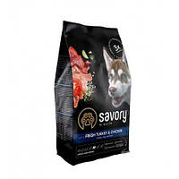 Сухий основний корм для молодих собак великих порід Savory Junior Large Breed Chicken Turkey 12 кг