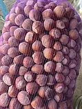 Овочева сітка з дрібною ячейкою 28х40 на 5кг. 50шт. фіолетова Євро сітка-мішок для овочів., фото 7