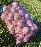 Овочева сітка з дрібною ячейкою 28х40 на 5кг. 50шт. фіолетова Євро сітка-мішок для овочів., фото 9