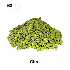 Хміль Цитра (Citra) α-12,3%, 1 г