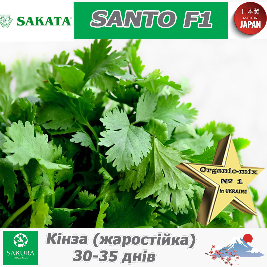 Коріандр (кінза), жаростійкий, Санто F1 / Santo F1, ТМ Sakata (Японія), 500 грам
