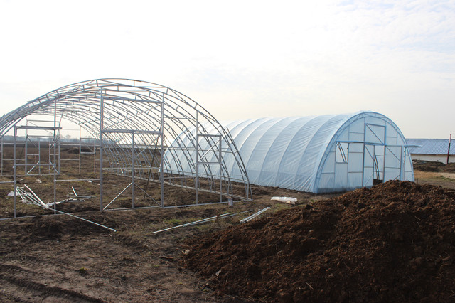 фермерские теплицы под пленку