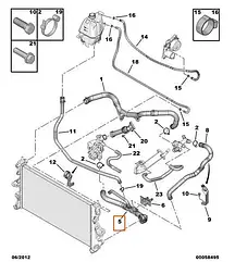 Патрубок радіатора нижній Fiat Ducato 250, Peugeot Boxer 3, Citroen Jumper 3 (2006-2014) 2.2, 1351PK