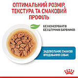 Royal Canin DOG Pouch X-small Puppy in gravy для собак малих порід 85г 1593001, фото 3