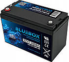 Акумулятор гелевий Bluebox GEL 12V 100 Ah VRLA, необслуговуваний, для дому та авто, фото 4