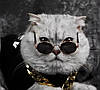 Окуляри для собак Pet Style 8 см Рожеві, фото 4
