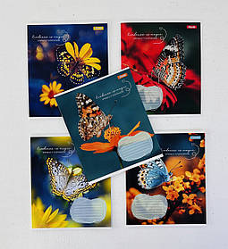 Зошит 36 аркушів клітинка Butterfly 767323 8906Ф+11 1 вересня