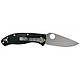 Ніж Spyderco Tenacious FRN (C122PBK), фото 3