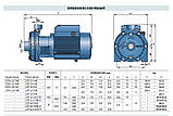Промисловий насос Pedrollo 2CP 32/210A високий напір, фото 3