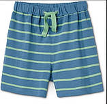 Зручні дитячі бавовняні шорти для хлопчика від tcm tchibo (Чібо), Німеччина, 98-116 см, фото 2