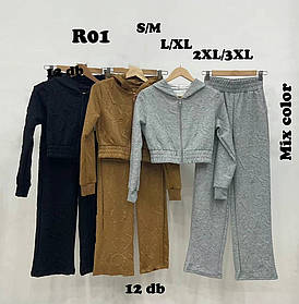 Спортивний жіночий костюм-двійка оптом, S/M-2XL/3XL рр.,  арт. Si-R01