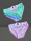 Плавки труси дитячі на дівчаток 4-6 років. Від 6 шт по 20,50 грн, фото 2
