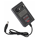 Пила для чищення саду 2000 мАч, 21 В, 4 дюйма + 6 дюймов Red Technic RTMPA0064 гілкоріз, фото 8