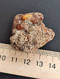 Камінь натуральний необроблений бурштин 32*38*15 мм. Україна., фото 6