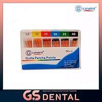 Штифты гуттаперчевые Gapadent 120 шт кон. 02