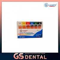 Штифты гуттаперчевые конусные Gapadent 60 шт кон. 04