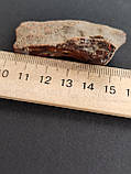 Камінь натуральний необроблений бурштин 53*20*12 мм. Україна., фото 4