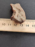 Камінь натуральний необроблений бурштин 53*20*12 мм. Україна., фото 5