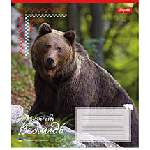 Зошит 18 арк. лінія "1вересня" / Animals of Ukraine, фото 4