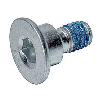 Болт гальмівного диску Mercedes C-class (W202 / W203) / E-class (W210) 95-08 Febi Bilstein 05560