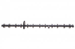 Вал ексцентриковий BMW X5 (E70) 3.0 N55 / S55 07-13 Febi Bilstein 184958