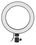 Кільцева лампа, додаткове освітлення Ring Fill Light (20 см, світло тепле, прохолодне, нейтральне, компктна), фото 3