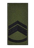 Погон 2020  ОЛИВА старший прапорщик( майстер сержант)